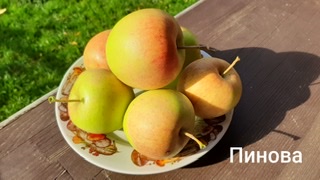 C298B270-9AE9-4397-8EE1-BE6D265998DE.jpeg