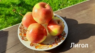 9AEDFF93-BA25-45B8-B413-4CBC56A37DF5.jpeg