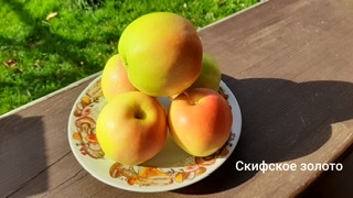 CE9EF0C8-0E14-491A-BA92-E1E3A624A264.jpeg