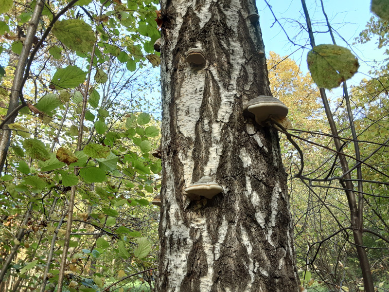 20201004_133430.jpg