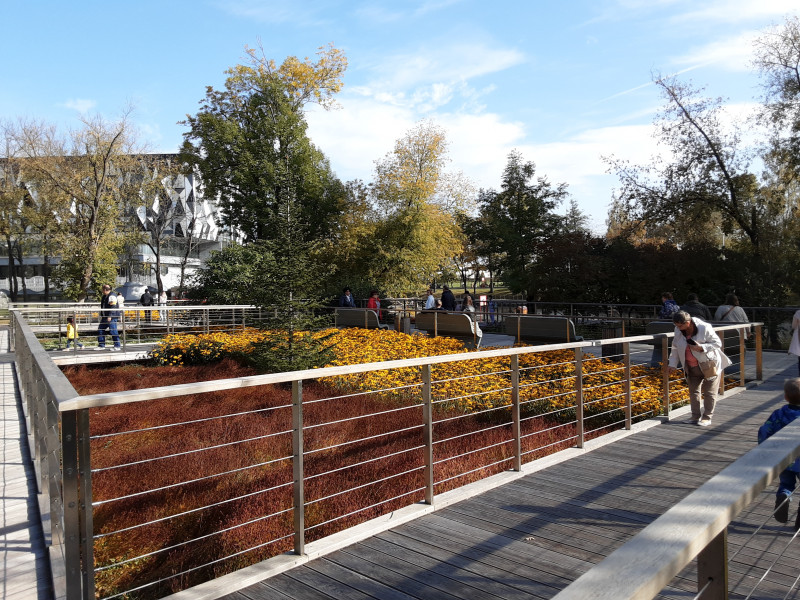 20201004_140743.jpg