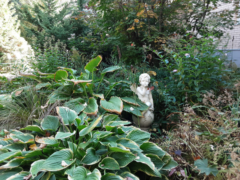 20201001_122611.jpg
