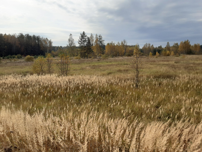 20201008_115959.jpg