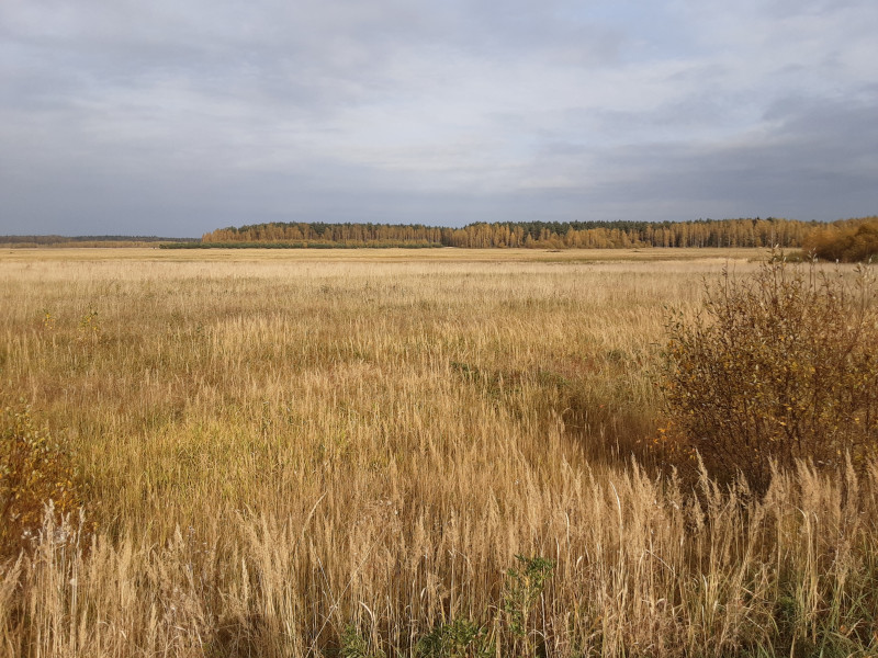 20201008_122917.jpg