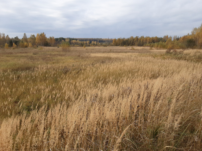 20201008_115949.jpg