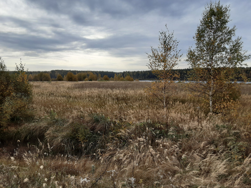 20201008_120935.jpg