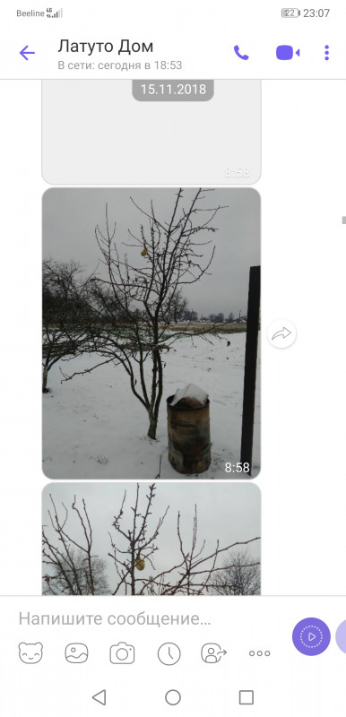 Screenshot_20201006_230737_com.viber.voip.jpg