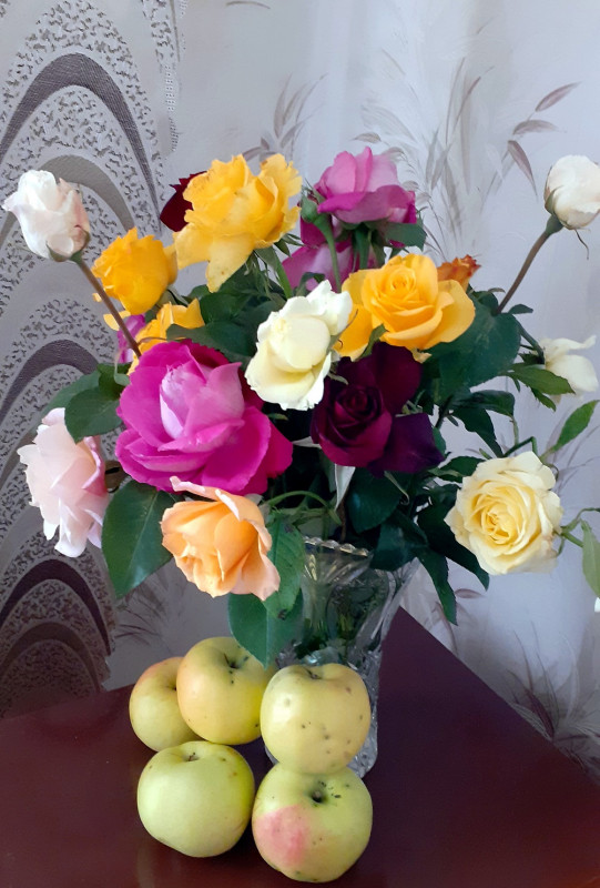20201010_135332_.jpg
