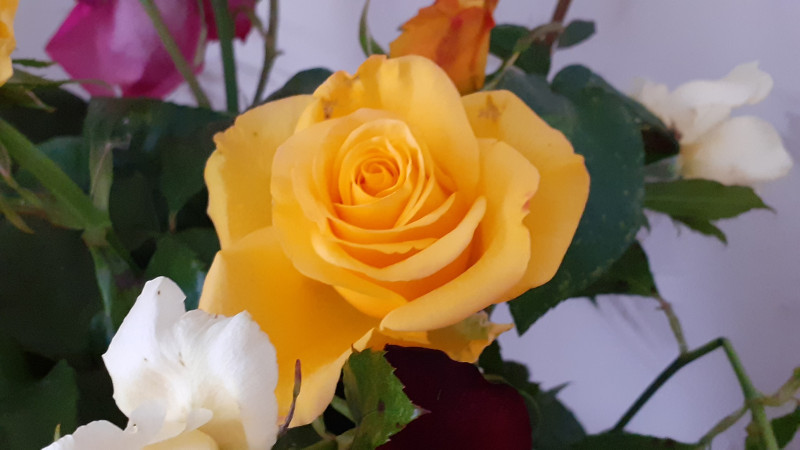 20201010_135357.jpg