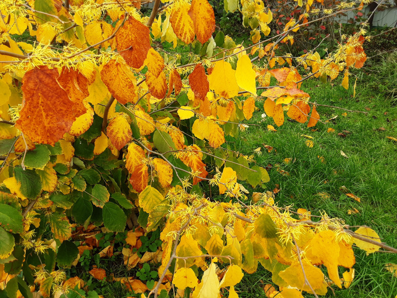 20201010_111523.jpg