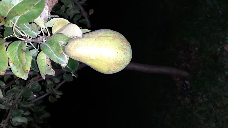 20201014_184814.jpg