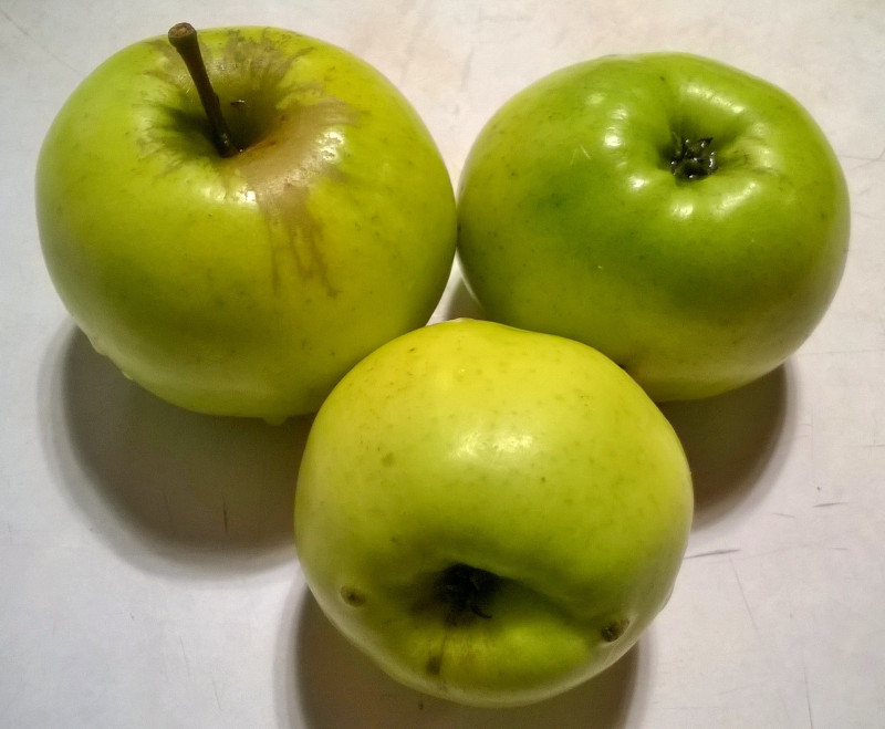 WP_20201018_01_15_05_Pro.jpg