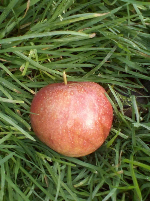Элизе 2020 018.jpg