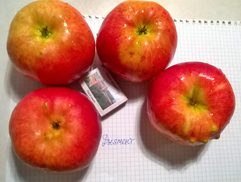 WP_20201022_19_50_09_Pro.jpg