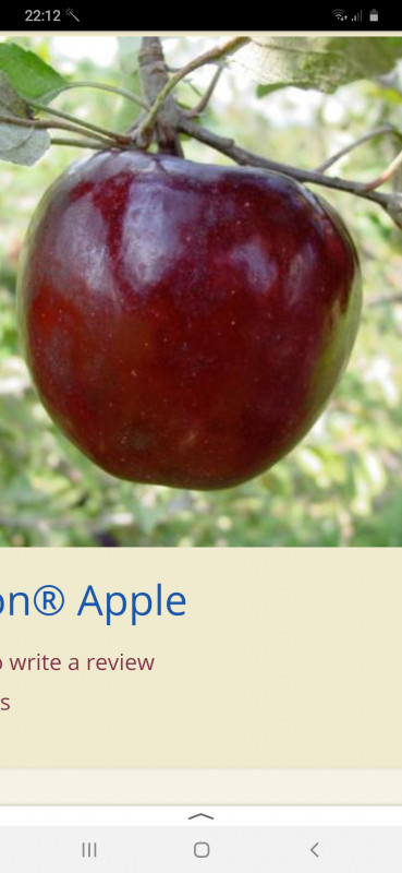 Screenshot_20201025-221216_Yandex.jpg