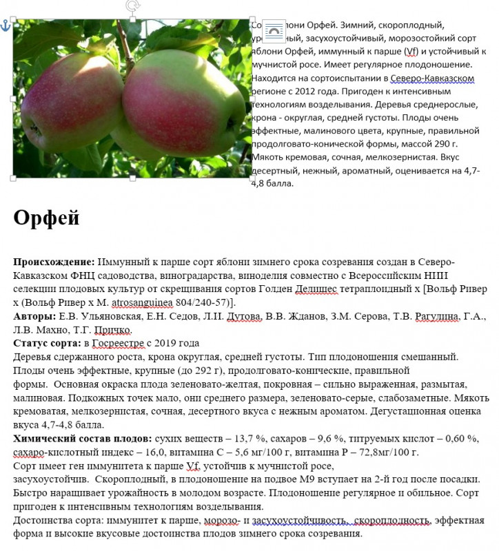 Орфей1.jpg