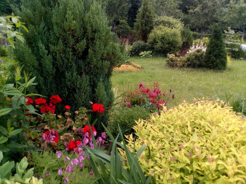 IMG_20200620_114011.jpg