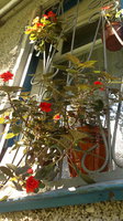 2013-08-27-752.jpg