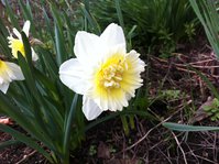 IMG_2107.JPG