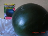 CIMG0977.JPG