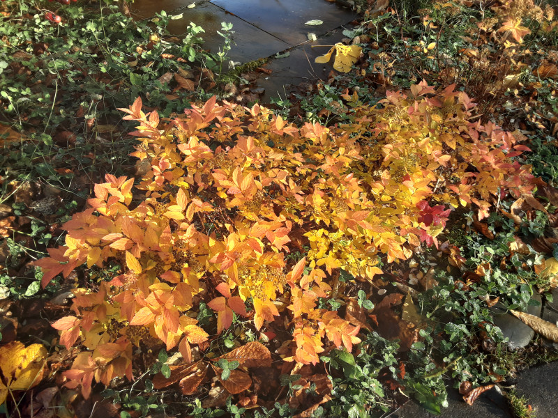 20201107_113433.jpg