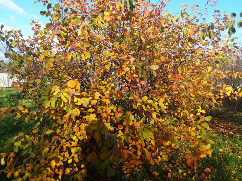 20201107_113726.jpg