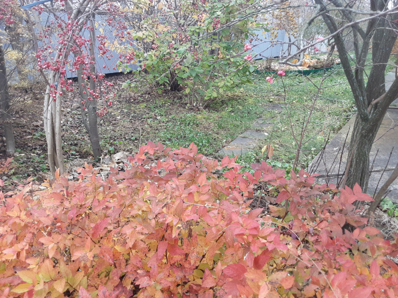 20201031_140625.jpg