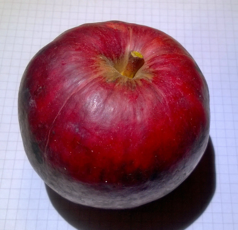 WP_20201111_19_03_05_Pro.jpg