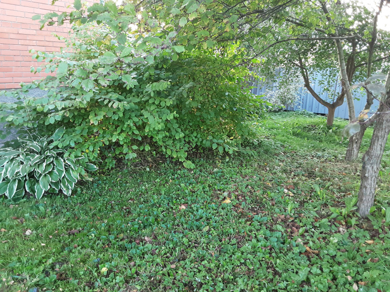 20200916_173952.jpg