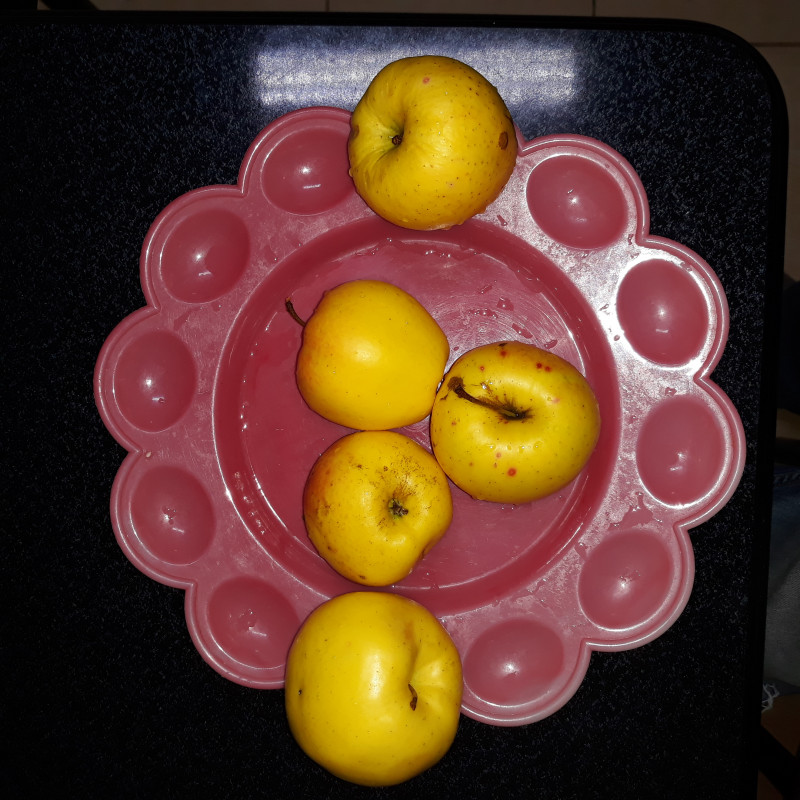 20201121_153449.jpg