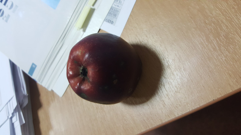 20201116_162816.jpg