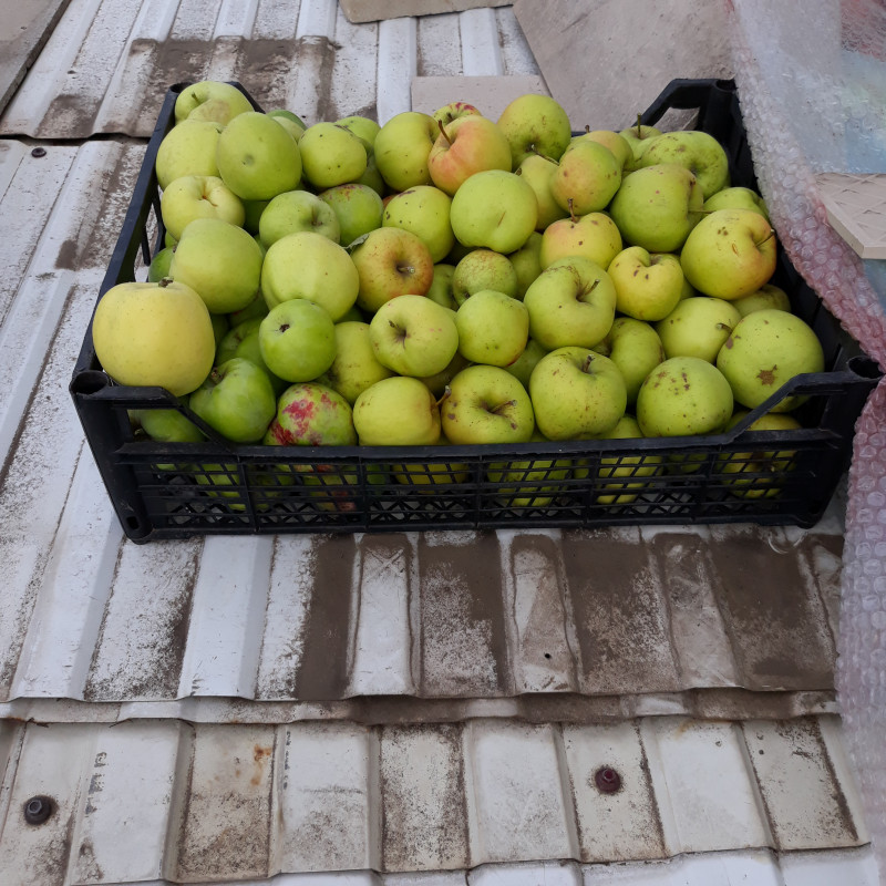 20201001_144134.jpg