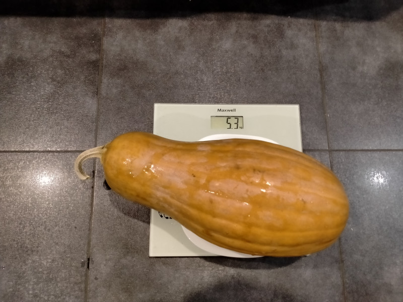 IMG20201210190358.jpg