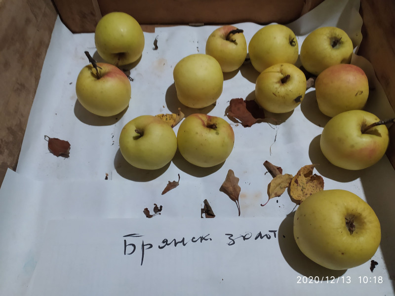 IMG_20201213_101859с.jpg
