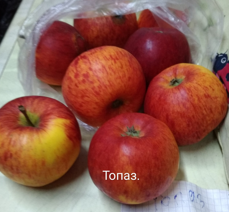 IMG_20201218_152253.jpg