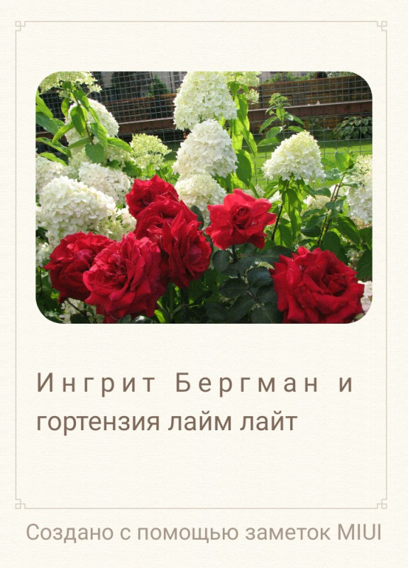 IMG-20210102-WA0001.jpg