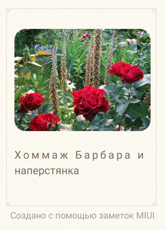 IMG-20210102-WA0004.jpg