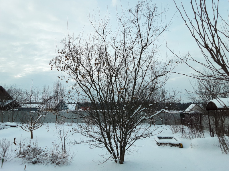 20210103_160833.jpg