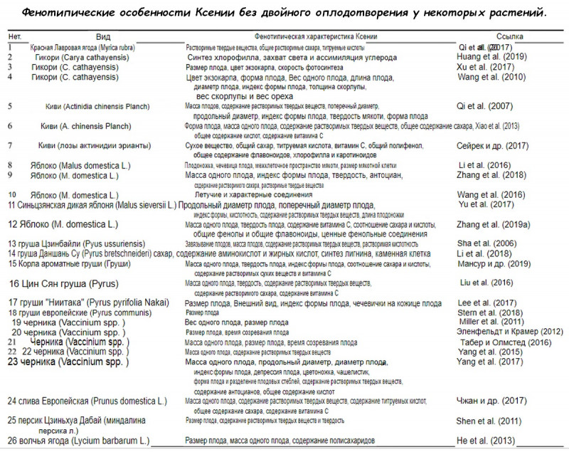 Фенотипические особенности Ксении.jpg