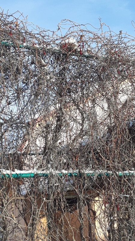 06.01.2021