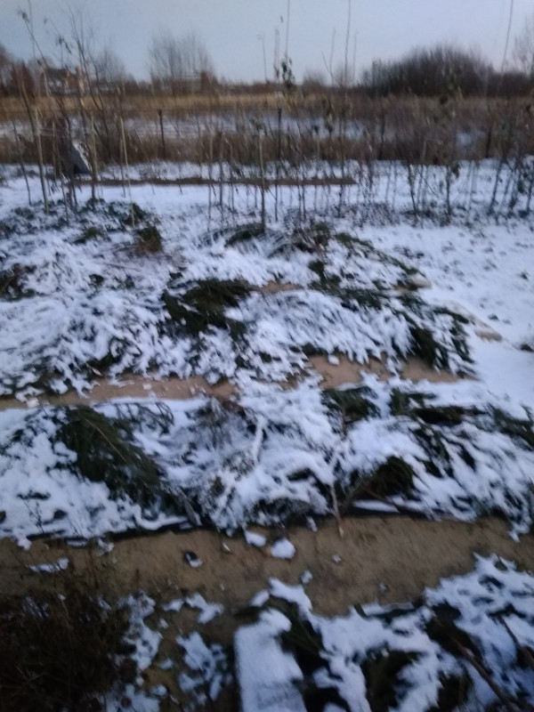 IMG_20201210_161453.jpg