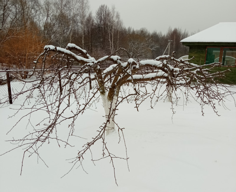 IMG_20210109_144827.jpg