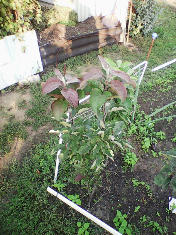 Photo0107.jpg