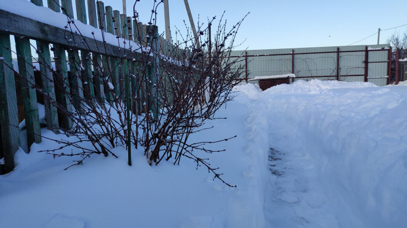 P10117-150859.jpg