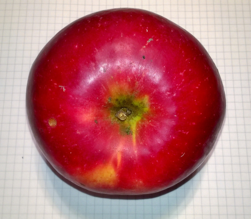 WP_20210120_00_43_35_Pro.jpg