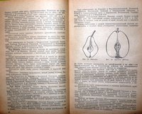 P1050726.JPG