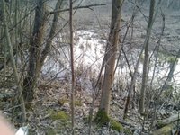 2014-04-13 19.57.12.jpg
