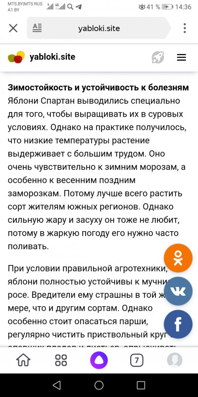 Спартан описание.