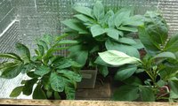 IMAG0191.jpg