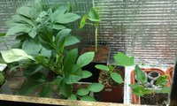 IMAG0190.jpg